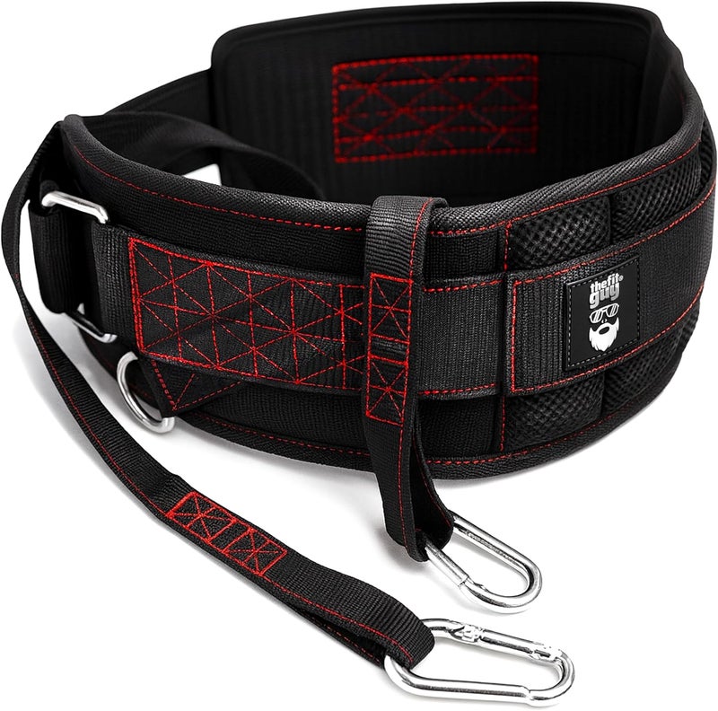 THEFITGUY Ultimate Dip Belt | Secure Closure - No Sliding Down | Structured Back Support | 45-Angle Rings - Comfort Dip Position | 40” Strap & 2 Snap Hooks - for Dips, Pull Ups, Squats, Weight Lifting - Image 1